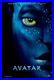 Avatar Original Rolled Advance Ds Movie Poster 2009 James Cameron Double Sided