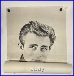 Original James Dean Door Size Poster